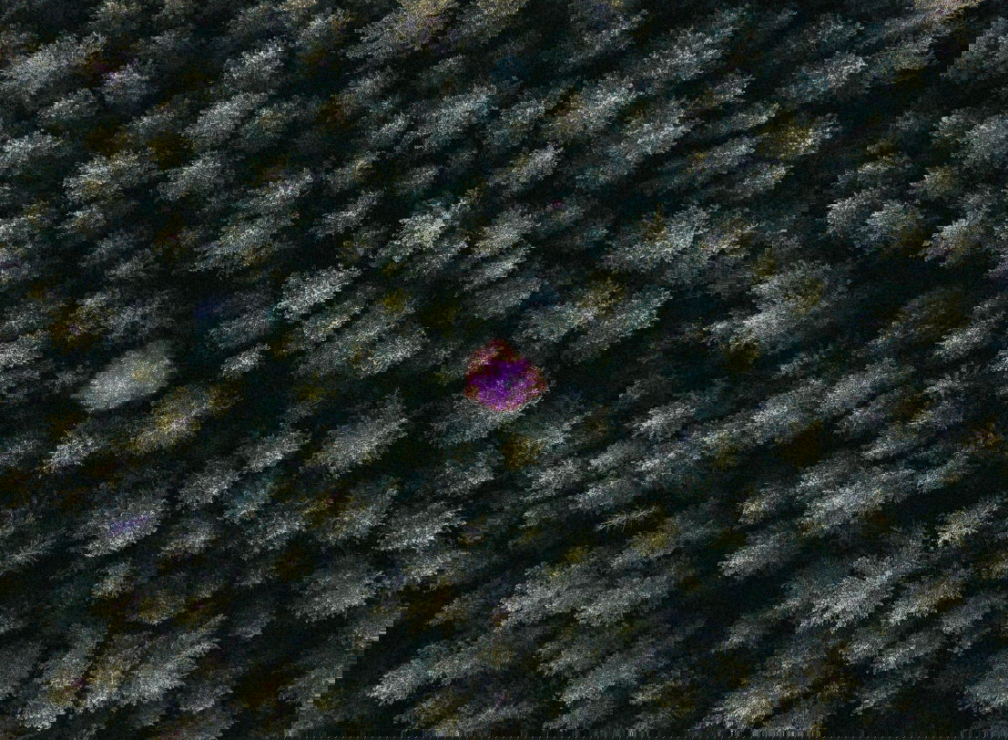 Pure Postgres Cosine Similarity Search